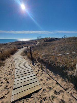 Kohler-Andrae State Park by null
