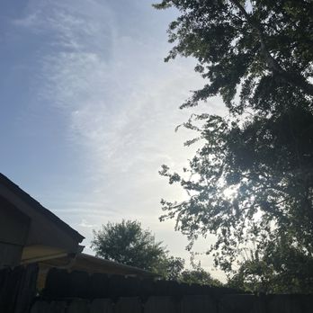 Moises Velasquez - After - Tree Services Near Me - Webster, Texas Moises Velasquez - After - Tree Services Near Me - Webster, Texas