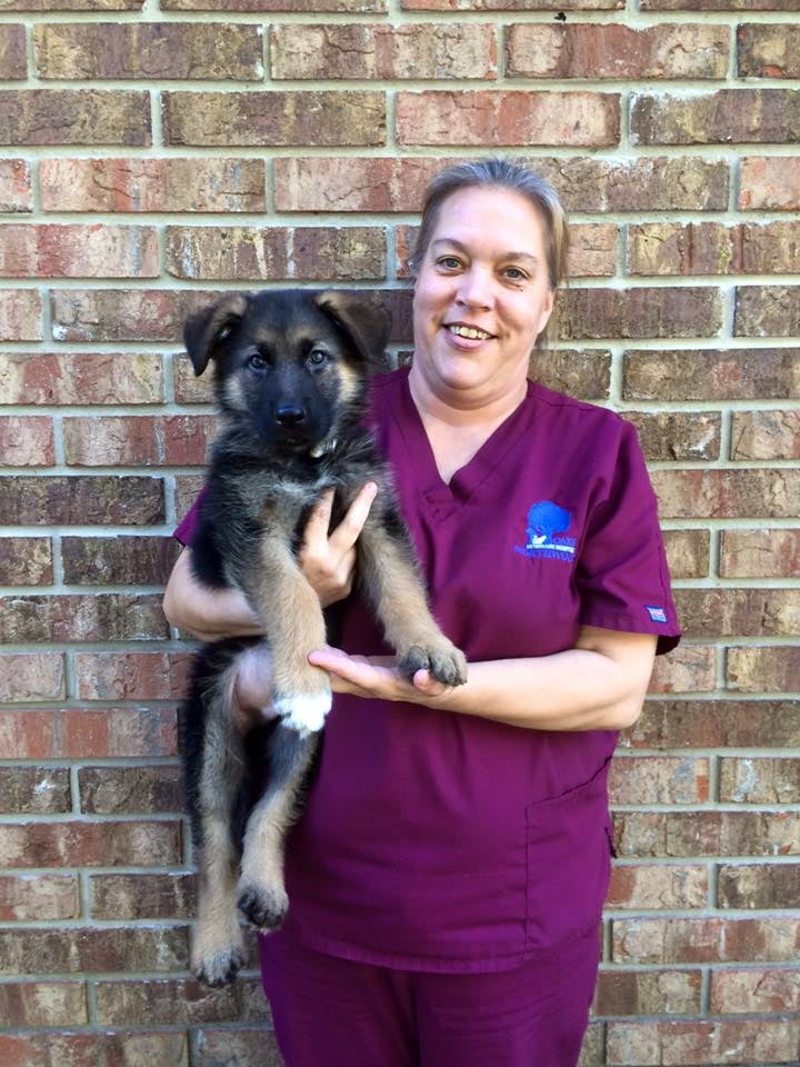 Northwood Oaks Veterinary Hospital Image
