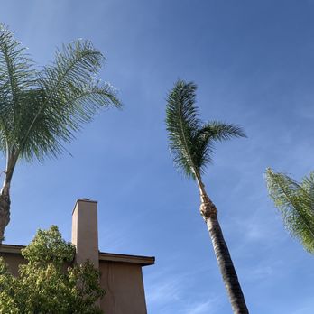 All Around Green Tree Service - Tree Services Near Me