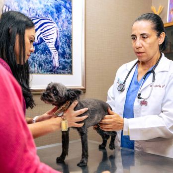 Spencer Animal Hospital - Dr. Perez - Veterinarians Near Me - Pasadena, Texas Spencer Animal Hospital - Dr. Perez - Veterinarians Near Me - Pasadena, Texas