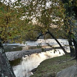 Grumpy Bear Campground & RV Park