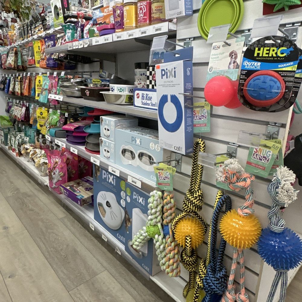 The PetHouse - Pet Stores Near Me - Baywood-Los Osos, California The PetHouse - Pet Stores Near Me - Baywood-Los Osos, California