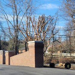KD Landscaping - Tree Trimming