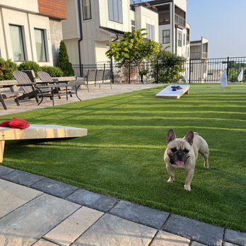 Smarter Scapes - Artificial Turf Near Me Smarter Scapes - Artificial Turf Near Me