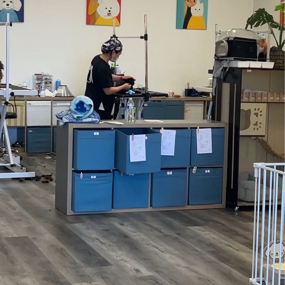 Pet Beloved - Inside - Pet Groomers Near Me - San Diego, California Pet Beloved - Inside - Pet Groomers Near Me - San Diego, California