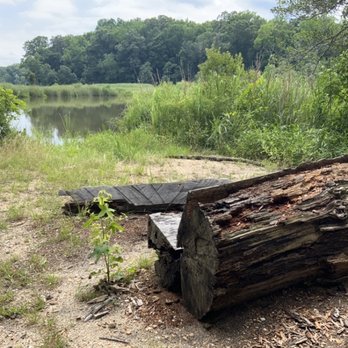 Caledon State Park - Hiking Near Me - King George, Virginia
