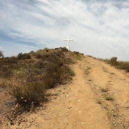The cross
