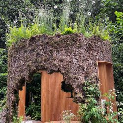 The Chelsea Flower Show