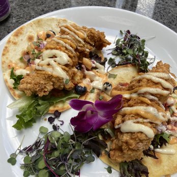 Testa's Bar & Grill - Maine Street Lobster Tacos - Seafood Near Me - Bar Harbor, Maine Testa's Bar & Grill - Maine Street Lobster Tacos - Seafood Near Me - Bar Harbor, Maine