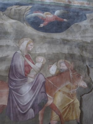 Dominikanerkirche by null