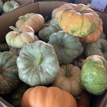 Croom Farms - Farmers Market Near Me - Lucedale, Mississippi