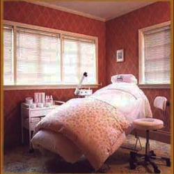 Dzialo Skin Care - The lovely facial room