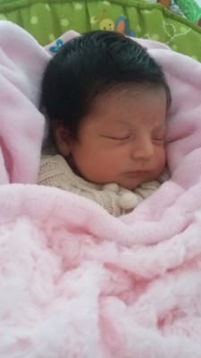 Playa Ensenada by null