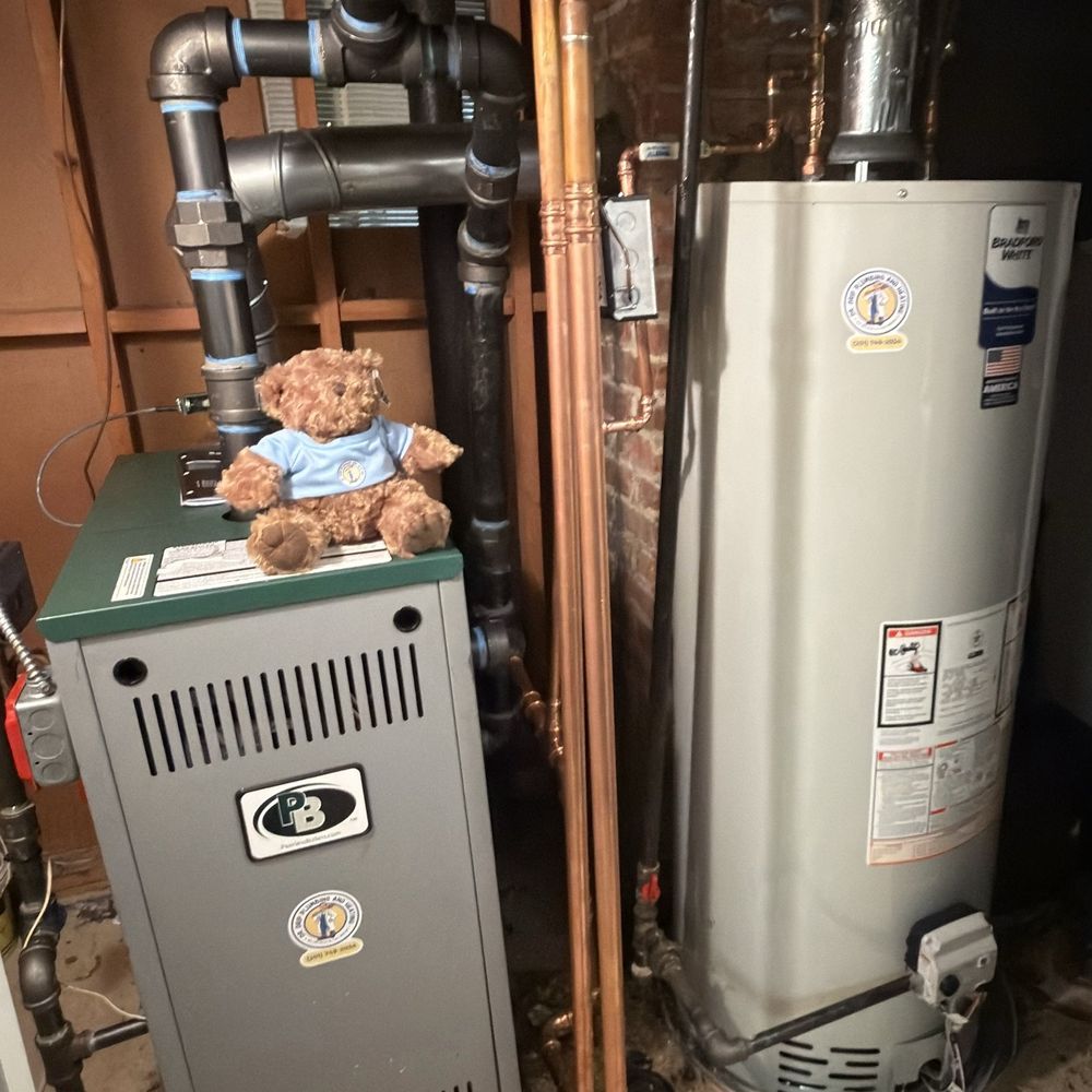 Steam boiler and water heater