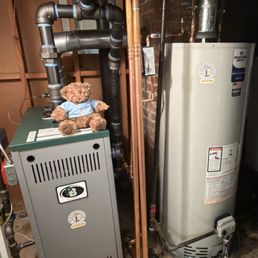 Steam boiler and water heater