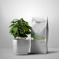 Palm Beach Coffee Roasters