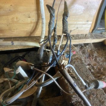 GF Electric - Attic Rewire 1910 Home. Nests of floating splices all over the attic - Electricians Near Me GF Electric - Attic Rewire 1910 Home. Nests of floating splices all over the attic - Electricians Near Me