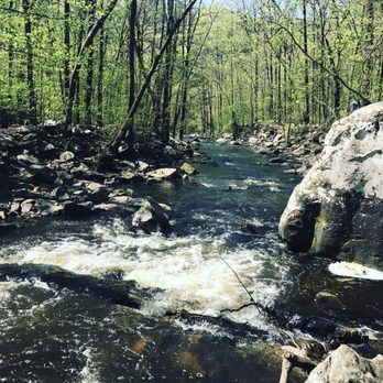 Petit Jean State Park - Cedar falls trail - Parks Near Me - Morrilton, Arkansas Petit Jean State Park - Cedar falls trail - Parks Near Me - Morrilton, Arkansas
