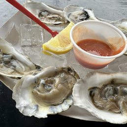 Oysters on the Half Shell Oysters on the Half Shell