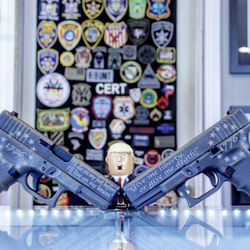 Ulster Firearms - We the people !