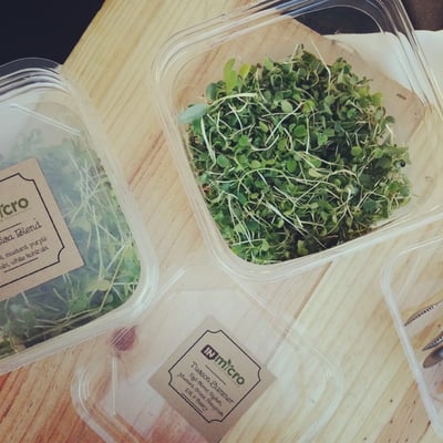 Broad Ripple Farmers Market by null