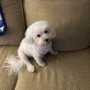 Photo of Secret Garden Pet Resort