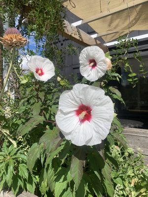 ReMix Coffee Bar by null