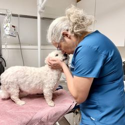 Auburn Pet Clinic - Wendy giving Lily some Love during exam