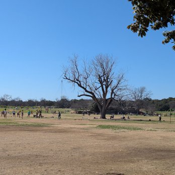 Zilker Metropolitan Park - Zilker Park - Parks Near Me - Austin, Texas