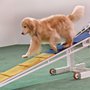 Photo of Cincinnati Canine Companion Center