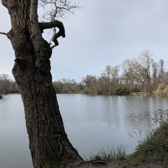 Lodi Lake Nature Trail - Parks Near Me - Lodi, California
