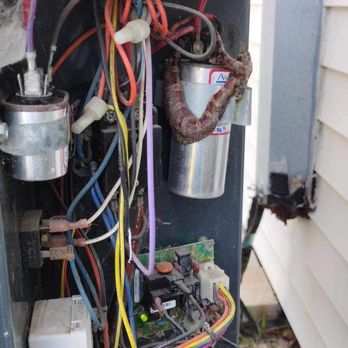Texas Air Quality Pro - There is a Snakes in my unit. - Heating & Air Conditioning/HVAC Near Me - White Settlement, Texas Texas Air Quality Pro - There is a Snakes in my unit. - Heating & Air Conditioning/HVAC Near Me - White Settlement, Texas