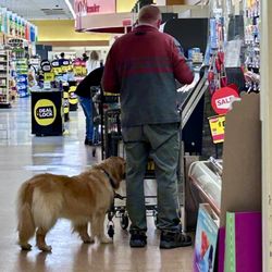Stop & Shop