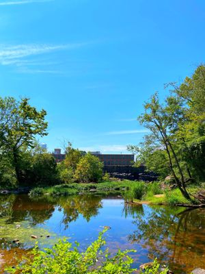 Rocky Mount Mills by null