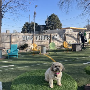 Omaha Dog Bar - Dog Parks Near Me - Omaha, Nebraska Omaha Dog Bar - Dog Parks Near Me - Omaha, Nebraska