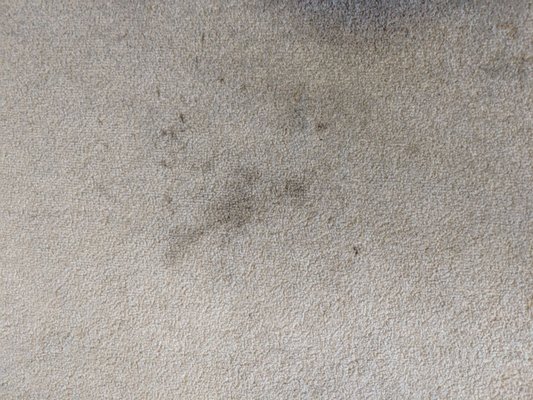 The Kingsley Hotel by null