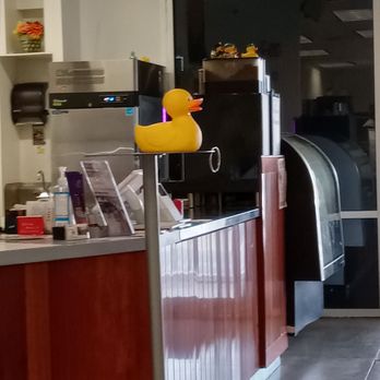 Bims Laundry Cafe - Front counter in Bim's Laundry Cafe, and there's a large rubber ducky to greet you. - Dry Cleaning Near Me - Everett, Washington Bims Laundry Cafe - Front counter in Bim's Laundry Cafe, and there's a large rubber ducky to greet you. - Dry Cleaning Near Me - Everett, Washington