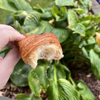 Flour City Bread Company - Plain croissant - Bakeries Near Me - Rochester, New York