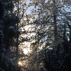 Skyway Villa Mobile Home Park - Snow  in Paradise