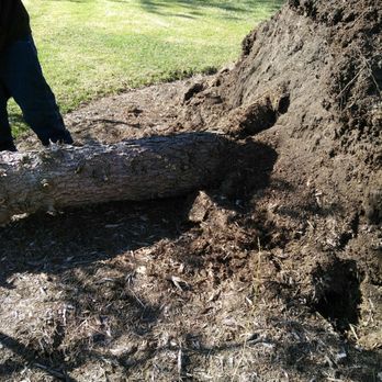 Bartholomew Tree Service - Ooooo - Tree Services Near Me - Wheeling, Illinois