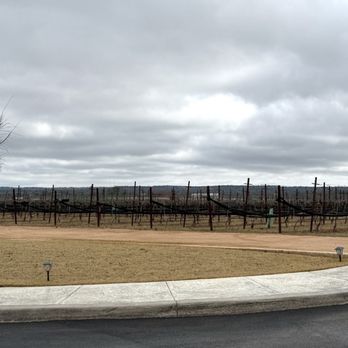 Augusta Vin Winery - Vineyard - Wine Tasting Room Near Me - Fredericksburg, Texas