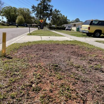 Top Notch Tree and Property Management LLC - Another photo after the stump was ground - Tree Services Near Me Top Notch Tree and Property Management LLC - Another photo after the stump was ground - Tree Services Near Me