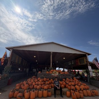 Apple Annie's Produce & Pumpkins - Farmers Market Near Me - Willcox, Arizona