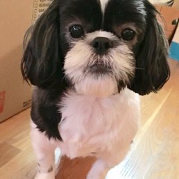 Baxter