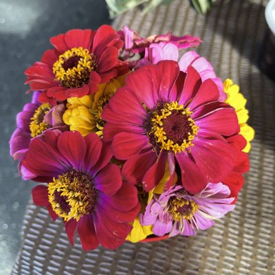 Downtown Berkeley Farmers' Market by null