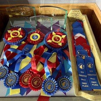 Maine Aim Ranch Dogs - Titles won by Maine Aim Ranch Pomskies - Pet Adoption Near Me - Allerton, Iowa Maine Aim Ranch Dogs - Titles won by Maine Aim Ranch Pomskies - Pet Adoption Near Me - Allerton, Iowa
