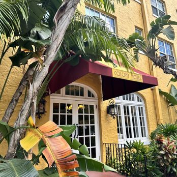 Colony Beach Club - Tropical and lush, mature foliage. - Resorts Near Me - Delray Beach, Florida Colony Beach Club - Tropical and lush, mature foliage. - Resorts Near Me - Delray Beach, Florida