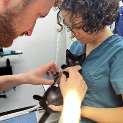 Compassionate Care Animal Clinic