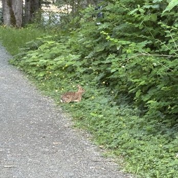 Vedder River Camp Ground - Campgrounds Near Me - Chilliwack, British Columbia Vedder River Camp Ground - Campgrounds Near Me - Chilliwack, British Columbia